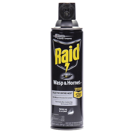 Sc Johnson Professional Raid Wasp & Hornet Killer, 14 oz, Aerosol 668006